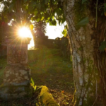 Imagens da Casa da Memória e Cemitério do Imigrante - Museus em Joinville - guia jlle SC