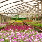 Imagens da Flora Neitzel - Passeios rurais em Joinville - guia jlle SC 04