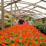 Imagens da Flora Neitzel - Passeios rurais em Joinville - guia jlle SC 06