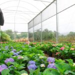 Imagens da Flora Neitzel - Passeios rurais em Joinville - guia jlle SC 07