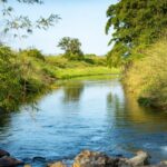 Imagens da Propriedade Ango Kersten - Passeios rurais em Joinville - guia jlle SC 04-02