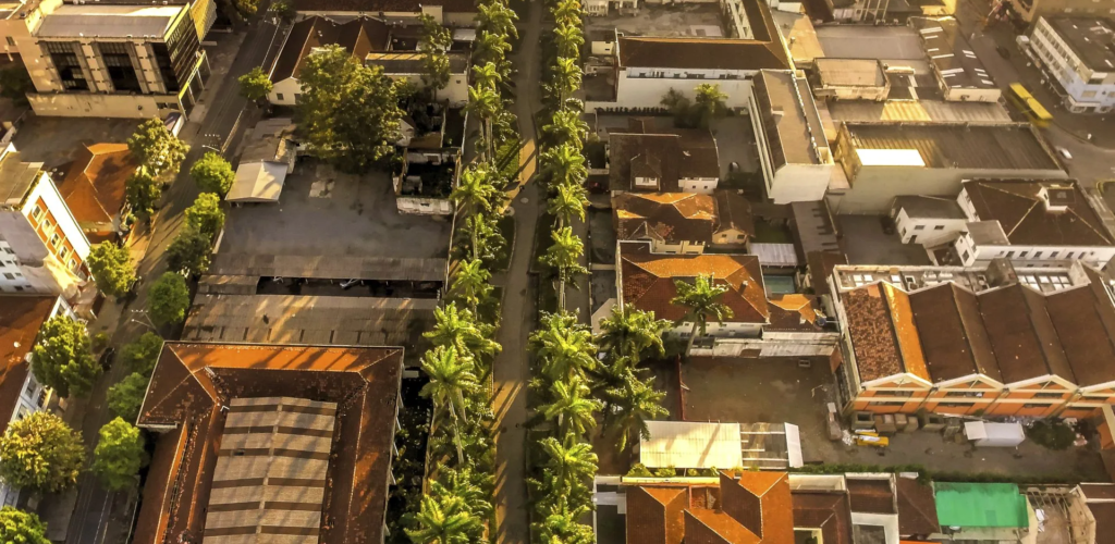 Alameda Brüstlein, conhecida como Rua das Palmeiras,