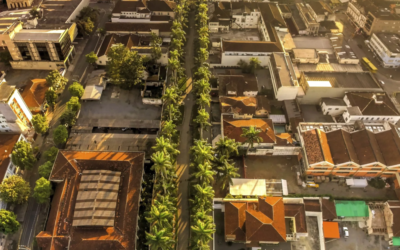 Alameda Brüstlein, conhecida como Rua das Palmeiras,