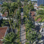 Imagens da Rua das Palmeiras - Passeios em Joinville - guia jlle SC 02