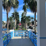 Imagens da Rua das Palmeiras - Passeios em Joinville - guia jlle SC 04