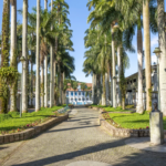Imagens da Rua das Palmeiras - Passeios em Joinville - guia jlle SC