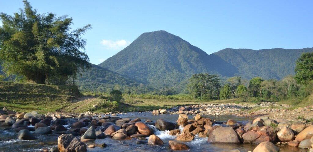 Apiário Pfau mel e extrato de propólis