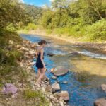 Imagens do Apiário Pfau - Passeios rurais em Joinville - guia jlle SC 02