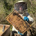 Imagens do Apiário Pfau - Passeios rurais em Joinville - guia jlle SC 03
