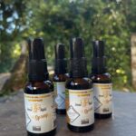 Imagens do Apiário Pfau - Passeios rurais em Joinville - guia jlle SC 04