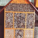 Imagens do Apiário Pfau - Passeios rurais em Joinville - guia jlle SC 06 Imagens do Apiário Pfau - Passeios rurais em Joinville - guia jlle SC 06