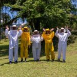 Imagens do Apiário Pfau - Passeios rurais em Joinville - guia jlle SC 07 Imagens do Apiário Pfau - Passeios rurais em Joinville - guia jlle SC 07