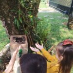 Imagens do Apiário Pfau - Passeios rurais em Joinville - guia jlle SC 08-02 Imagens do Apiário Pfau - Passeios rurais em Joinville - guia jlle SC 08-02