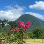 Imagens do Apiário Pfau - Passeios rurais em Joinville - guia jlle SC Imagens do Apiário Pfau - Passeios rurais em Joinville - guia jlle SC