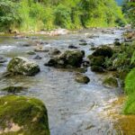 Imagens do Café Rural Dona Zita - Passeios rurais em Joinville - guia jlle SC 05
