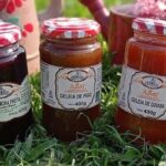 Imagens do Café Rural Família Roos - Passeios rurais em Joinville - guia jlle SC 04