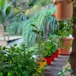 Imagens do Casa da Doce Bruxinha - Passeios rurais em Joinville - guia jlle SC 07