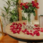 Imagens do Espaço Amorar hospedagem rural - Passeios rurais em Joinville - guia jlle SC 05