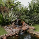 Imagens do Espaço Amorar hospedagem rural - Passeios rurais em Joinville - guia jlle SC 08