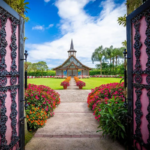 Imagens do HEMERO Jardins como Arte - Passeios em Joinville - guia jlle SC