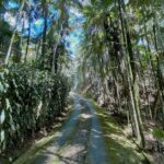 Imagens do Jussara Hostel Cultural - Passeios rurais em Joinville - guia jlle SC 010 Imagens do Jussara Hostel Cultural - Passeios rurais em Joinville - guia jlle SC 010