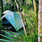 Imagens do Jussara Hostel Cultural - Passeios rurais em Joinville - guia jlle SC 013 Imagens do Jussara Hostel Cultural - Passeios rurais em Joinville - guia jlle SC 013