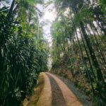 Imagens do Jussara Hostel Cultural - Passeios rurais em Joinville - guia jlle SC 04