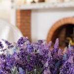 Imagens do Hotel Angler Hof - Passeios rurais em Joinville - guia jlle SC 06