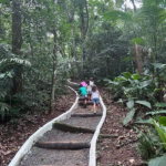 Imagens do Mirante de Joinville - Passeios em Joinville - guia jlle SC 007 (Grande)