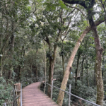 Imagens do Mirante de Joinville - Passeios em Joinville - guia jlle SC 008 (Grande) Imagens do Mirante de Joinville - Passeios em Joinville - guia jlle SC 008 (Grande)