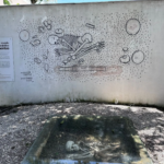 Imagens do Museu Arqueológico de Sambaqui de Joinville - Museus em Joinville 04