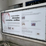 Imagens do Museu Arqueológico de Sambaqui de Joinville - Museus em Joinville 05