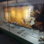 Imagens do Museu Arqueológico de Sambaqui de Joinville - Museus em Joinville 07