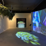 Imagens do Museu da Dança de Joinville - Museus em Joinville - guia jlle SC - 04