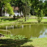 Imagens do Museu de Arte de Joinville MAJ - Museus em Joinville 02