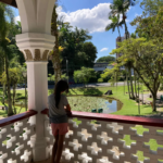 Imagens do Museu de Arte de Joinville MAJ - Museus em Joinville 04