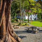 Imagens do Museu de Arte de Joinville MAJ - Museus em Joinville Imagens do Museu de Arte de Joinville MAJ - Museus em Joinville