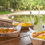 Imagens do Parque Caminho das Águas - Passeios rurais em Joinville - guia jlle SC 011 Imagens do Parque Caminho das Águas - Passeios rurais em Joinville - guia jlle SC 011