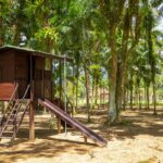 Imagens do Parque Caminho das Águas - Passeios rurais em Joinville - guia jlle SC 012 Imagens do Parque Caminho das Águas - Passeios rurais em Joinville - guia jlle SC 012