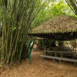 Imagens do Parque Caminho das Águas - Passeios rurais em Joinville - guia jlle SC 06