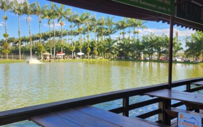 Pesque Pague Piraí - Estrada do Atalho