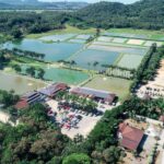 Imagens do Pesque Pague Piraí - Passeios rurais em Joinville - guia jlle SC 03