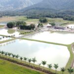 Imagens do Pesque e Pague Sítio 3 Lagoas - Passeios rurais em Joinville - guia jlle SC 06