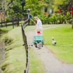 Imagens do Rancho Alegre - Passeios rurais em Joinville - guia jlle SC 014 Imagens do Rancho Alegre - Passeios rurais em Joinville - guia jlle SC 014