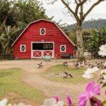 Imagens do Rancho Alegre - Passeios rurais em Joinville - guia jlle SC 017 Imagens do Rancho Alegre - Passeios rurais em Joinville - guia jlle SC 017