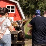 Imagens do Rancho Alegre - Passeios rurais em Joinville - guia jlle SC 04