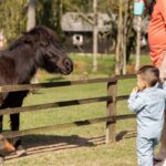 Imagens do Rancho Alegre - Passeios rurais em Joinville - guia jlle SC 05