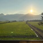 Imagens do Rancho da Vila - Passeios rurais em Joinville - guia jlle SC 04