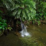 Imagens do Recanto Gerhmann - Passeios rurais em Joinville - guia jlle SC 02-04