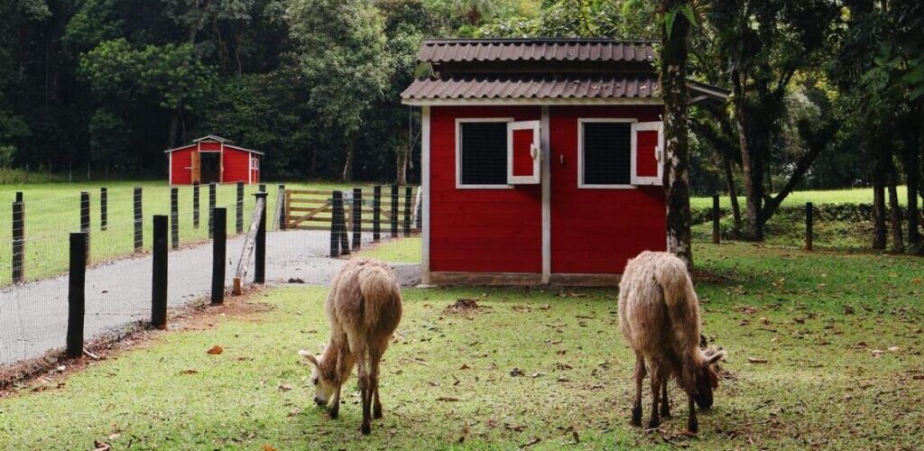 Recanto serrinha - Passeio rural em Joinville